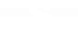Sananikone Investments GmbH